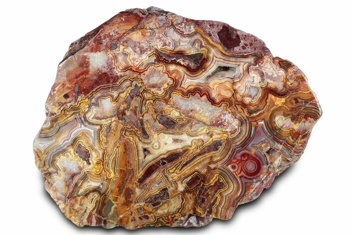 Polished Crazy Lace Agate Section - Mexico #326134